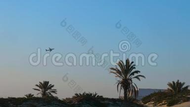 一架飞机在沙滩上用棕榈树飞过蓝天